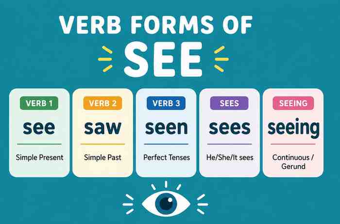 Verb 1, 2 dan 3 See, Saw, Seen, Sees, Seeing