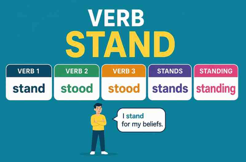 Verb 1, 2 dan 3 Stand, Stood, Stood, Stands, Standing